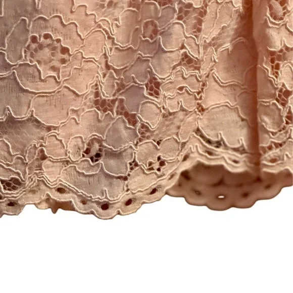 Lauren Ralph Lauren Pale Pink Lace Dress Sz 16 - Picture 5 of 5